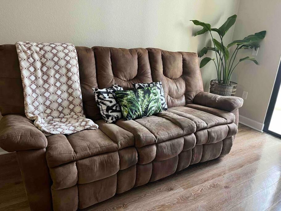 Blooming Journey In Tampa Bay! Apartment Exterior foto