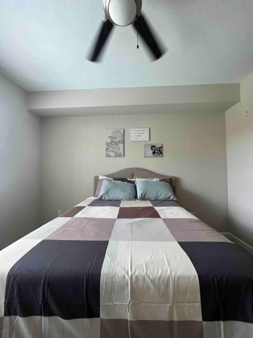Blooming Journey In Tampa Bay! Apartment Exterior foto