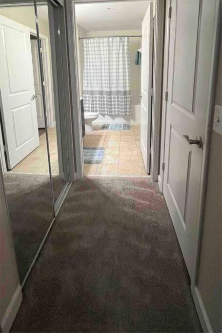 Blooming Journey In Tampa Bay! Apartment Exterior foto
